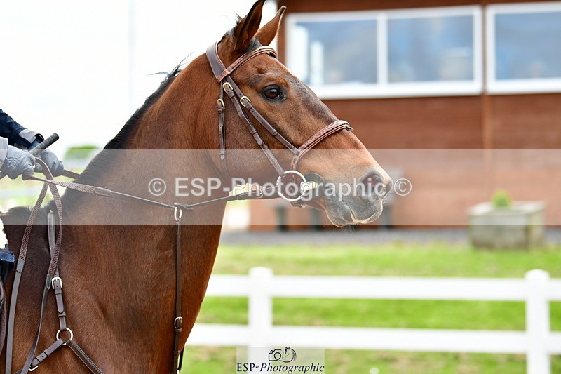 240524A-094847-02326 - Cls 21 British Novice and 90cm Open