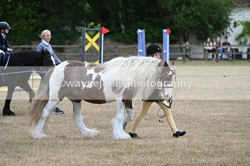 WJ7_8248 - Class 4 Prettiest Mare up to 14.2hh