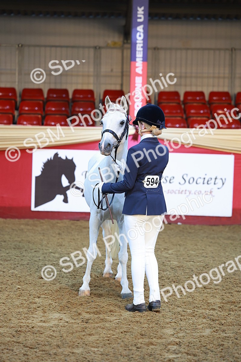 SBM_14703 - Class B - Junior Champ 11 to 16 Years