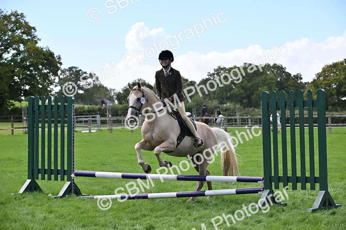 SBM_44509 - S13 - Pony Club Pony