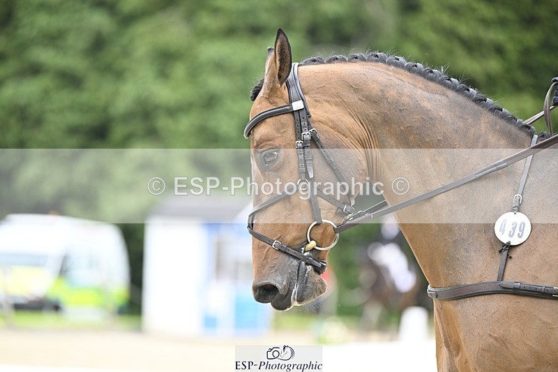 240523-153836-05282 - 439-HILDARE_EASTON_D'ECLIPSE-Danielle_Mccormack