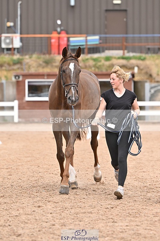 250716-162008-02575 - Trot Up 3.30 to 4.30
