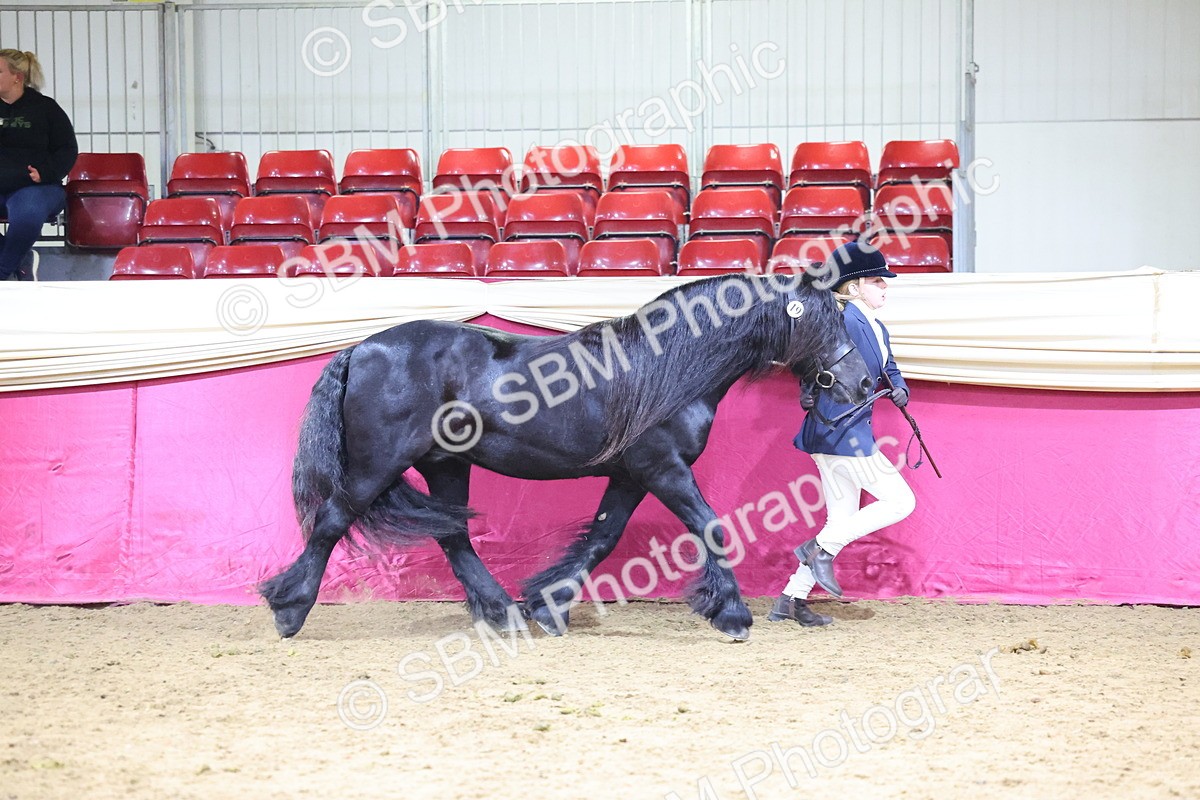 SBM_18679 - Class D IH Pony Champ