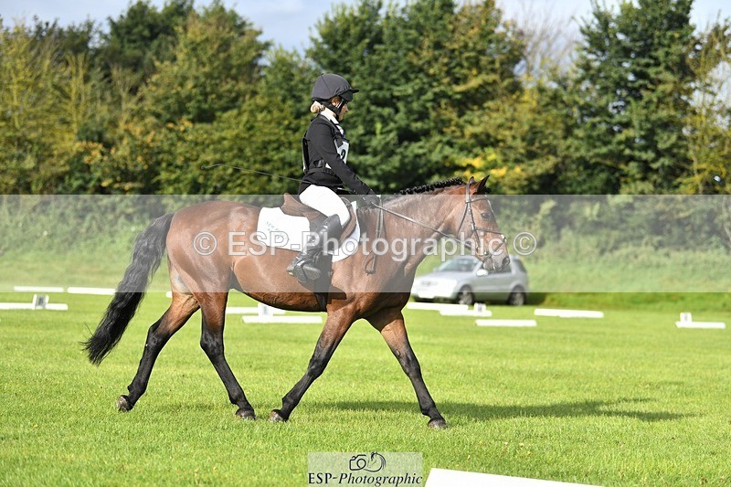 230826-090416-15017 - Sections C & D 9 to 10am