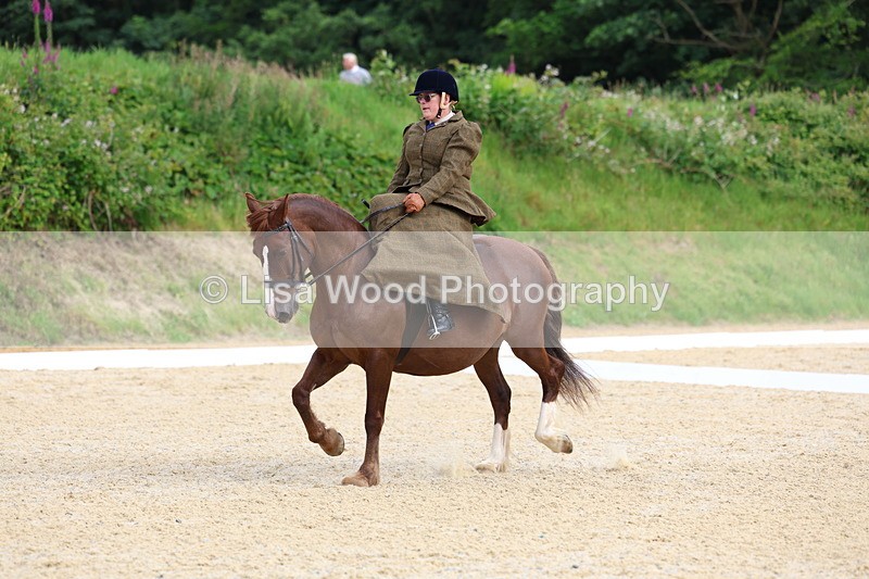 3E7A1600 - Class 2: Intro 2 2024 Section B