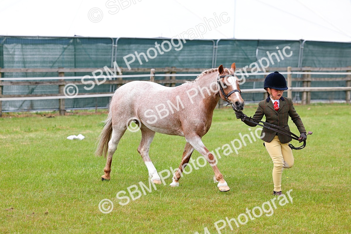 SBM_09440 - Class 44-45 - LIHS BSPS Open Nursery and Cradle Stakes
