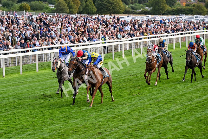210826-Race 5-Plage De Havre-0295 - Race 5 16.10pm Assured Data Protection Handicap