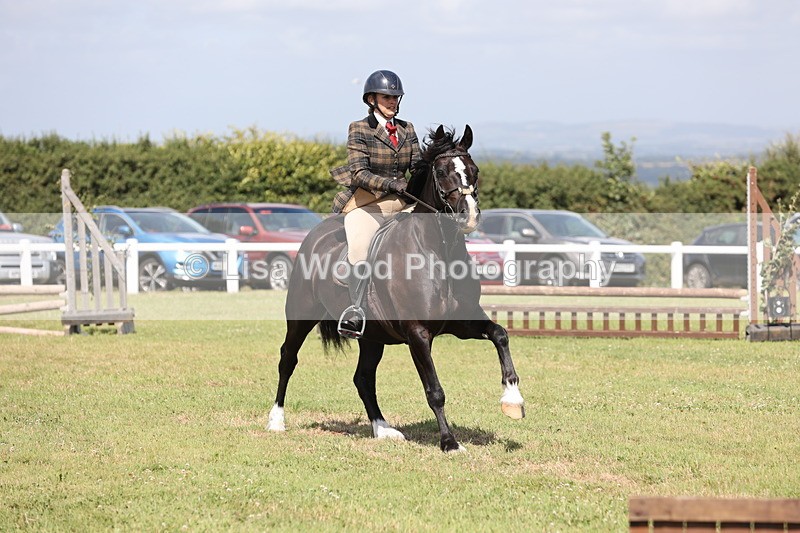 JPP_2211 - Class 19: Working Hunter 60cm