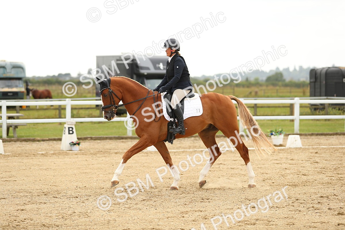 SBM_017698 - Class 13 - Novice 23 - 14.27-15.16