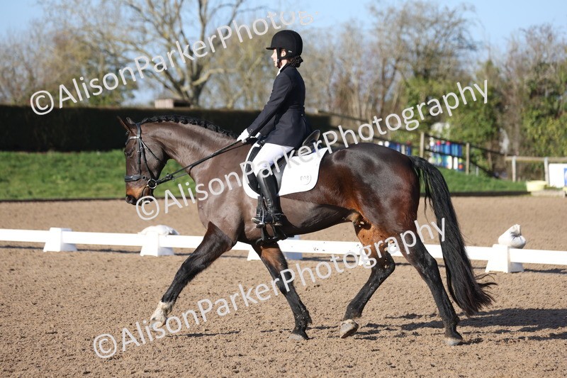 20260128-0229 - Class 3 - Novice 4