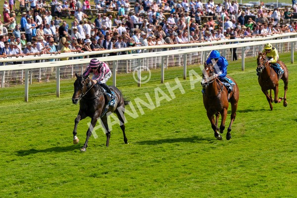 160623-Race 4-Chichester-6328 - Race 4 3.35pm Seat Unique Ganton Stakes