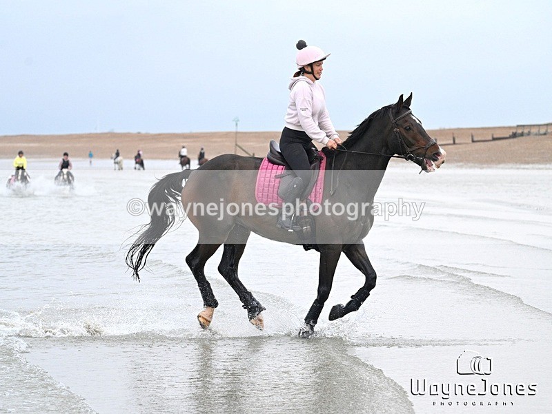 WJ7_9910 - Hayling Island Beach Shoot 22-09-24
