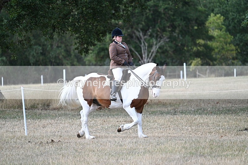 WJ7_6822 - Class 14 Ridden Coloured