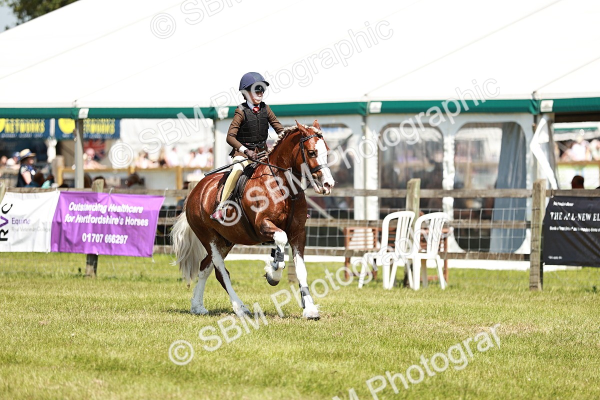 SBM_15591 - Class 108-109 - BSPS LIHS Open Gradle & Nursery Stakes