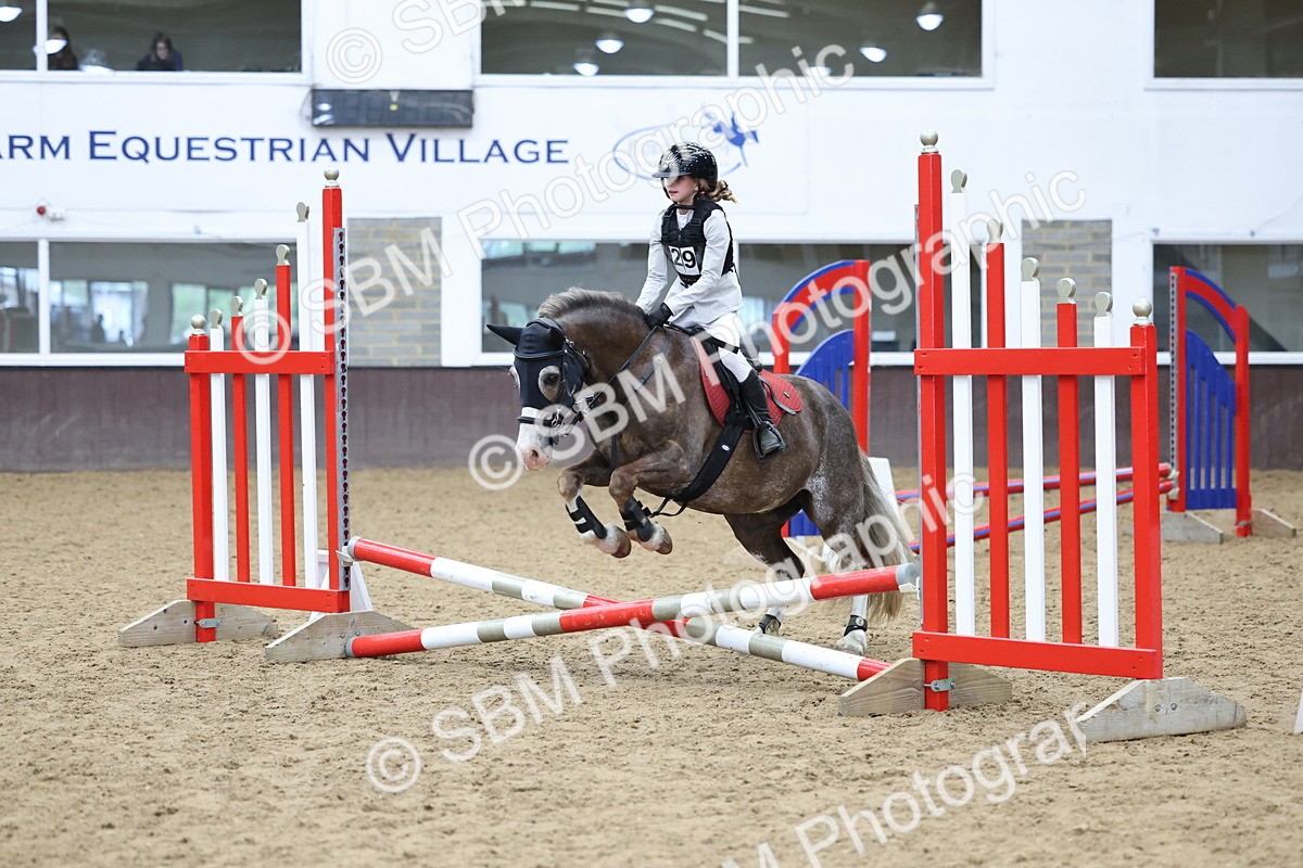 SBM_007331 - Class 2 - 50cm showjumping