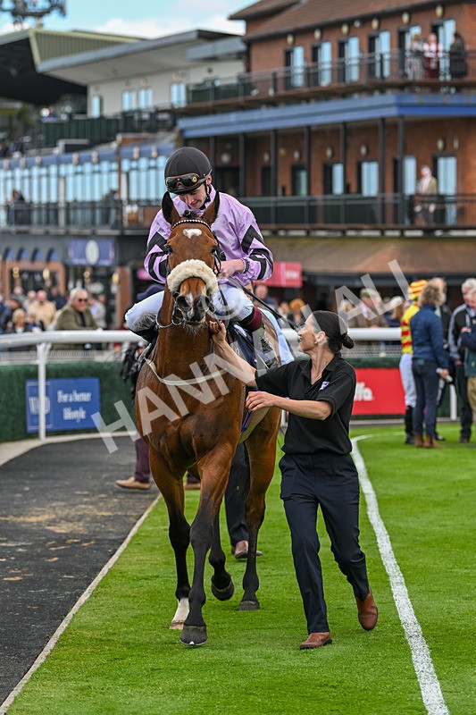 240425-Race 2-Brummell-1110 - Race 2