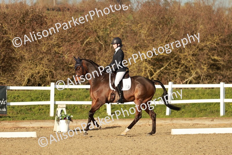 20260314-6372 - CT7 - Elementary 2