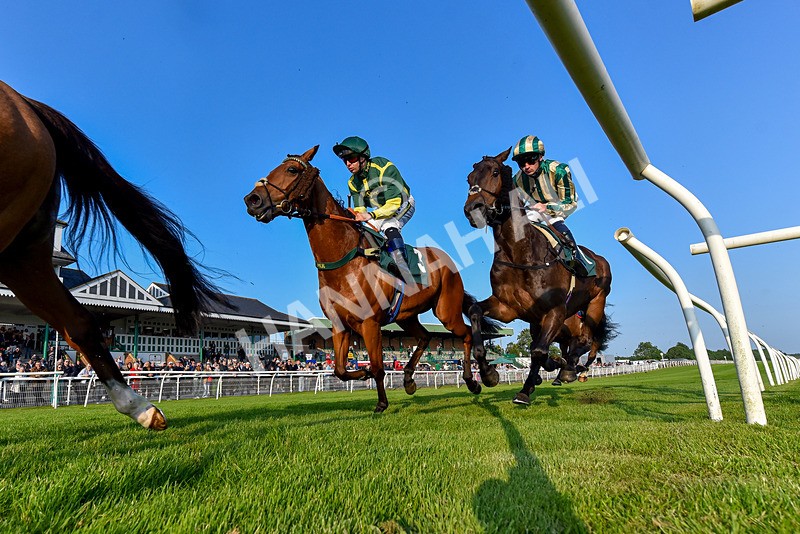 310524-Race 3-Lord Torranaga-7490 - Race 3