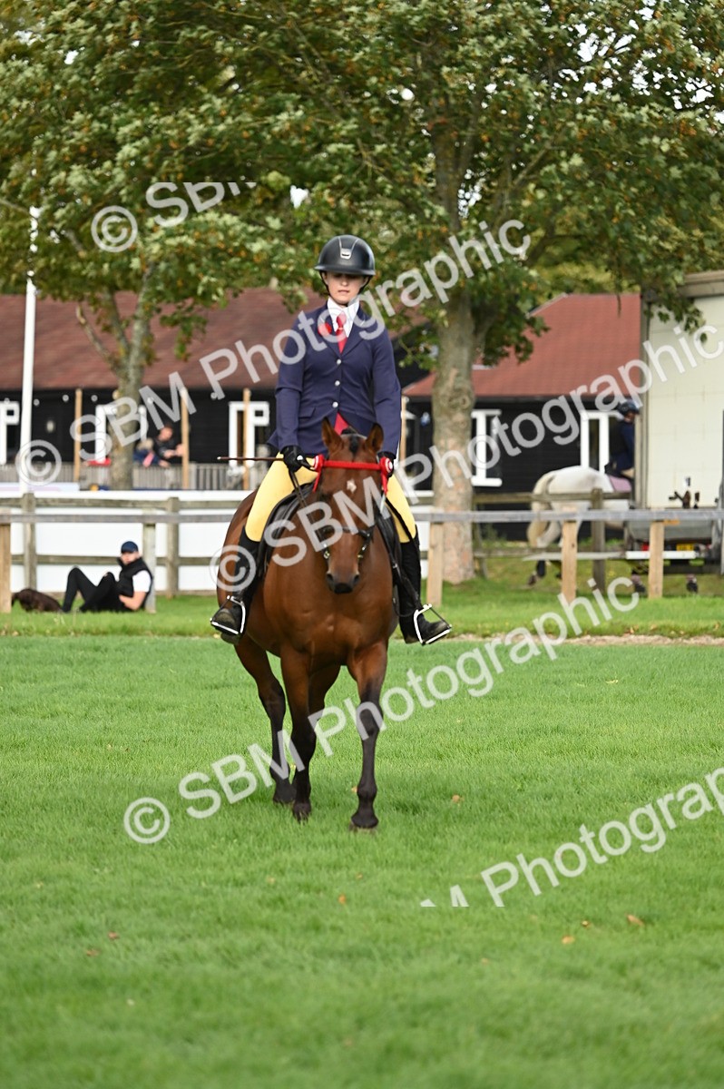 SBM_26385 - S6 - Novice & newcomer Ridden horse