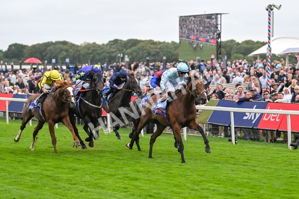 200825-Race 3-Pride Of Arras-1479 - Race 3 3.00pm Sky Bet Great Voltigeur Stakes