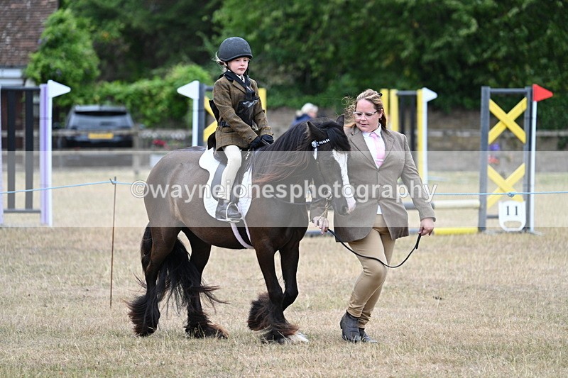 WJ7_8153 - Class 4 Prettiest Mare up to 14.2hh