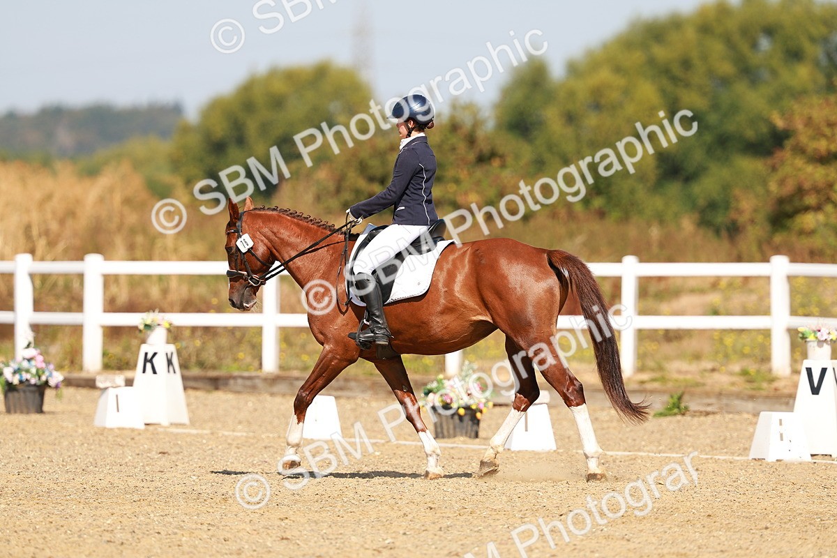 SBM_017613 - Class 9 - N5 Bronze 10.33.11.36