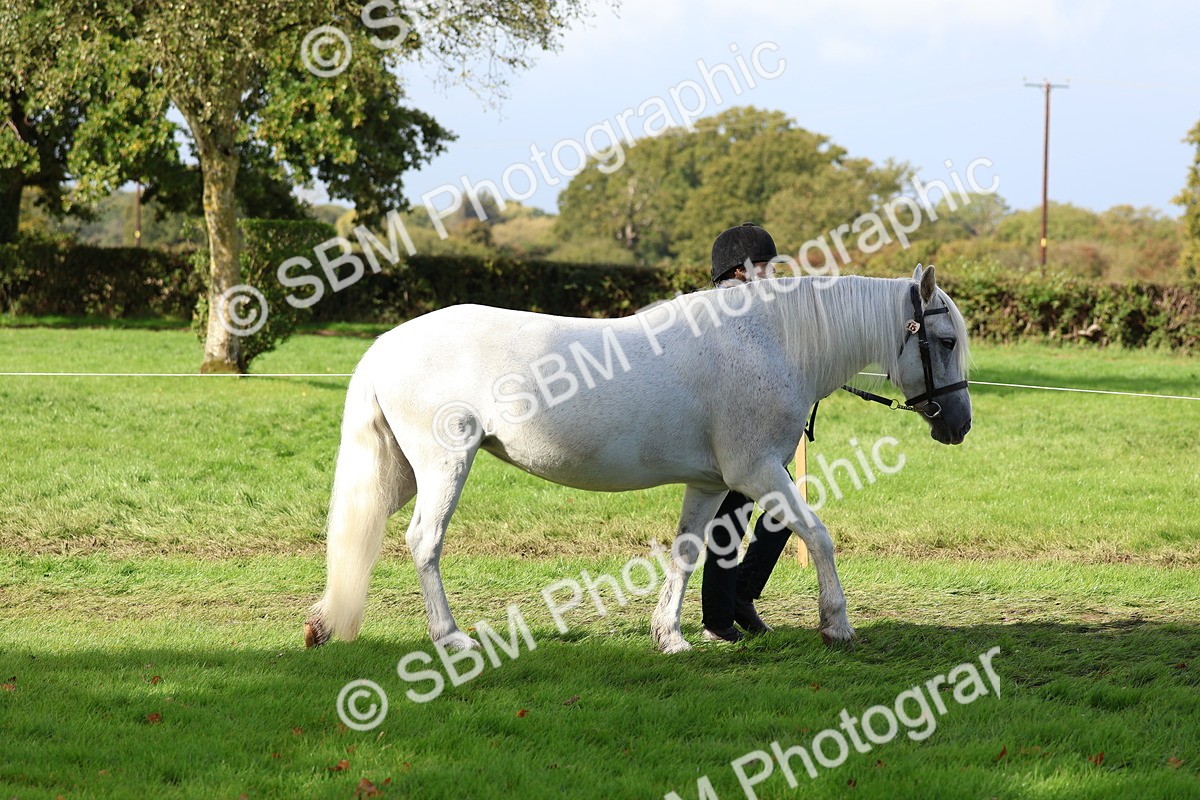 SBM_39396 - S24 - Young Veteran In Hand