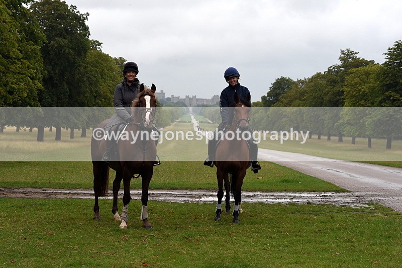 TT3_8091 - Time at Crossing 09:15 to 10:15