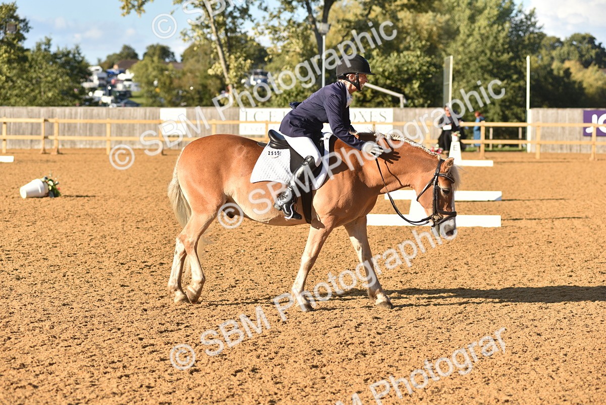 SBM_11420 - D28 - Elementary