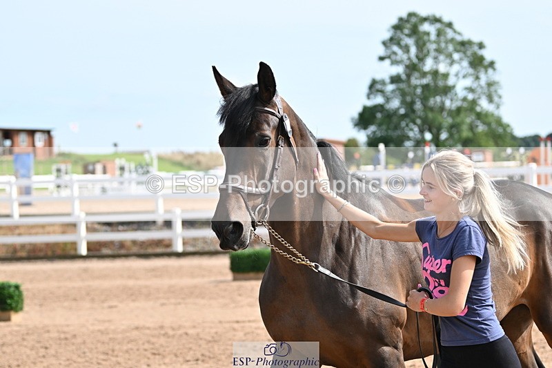 240717A-160340-03305 - Trot Up 4pm to 5pm