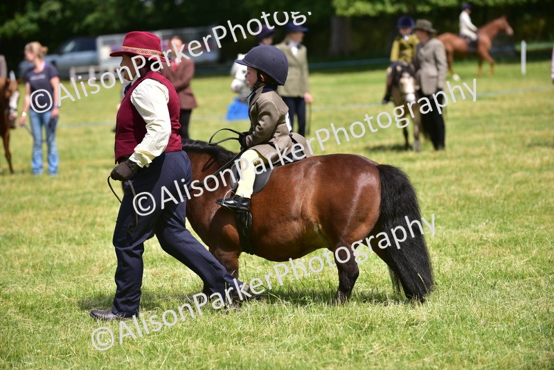 20260614-1248 - Class 11a - Lead Rein Pony (Unplaited)