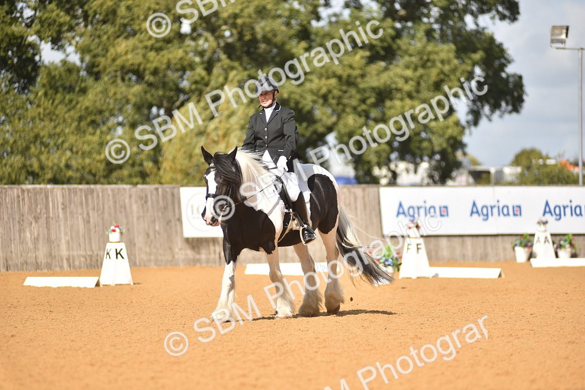 SBM_03383 - D4 - Small Tour Championship Intro 4