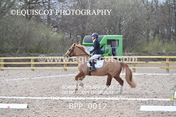 BPP_0017 - MY QUEST NOVICE 2