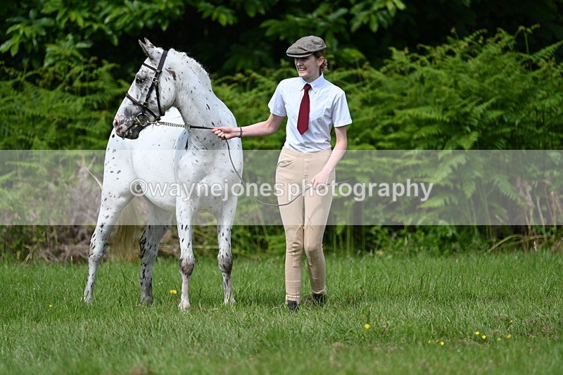 WJ7_1290 - Class 11 Condition & Turnout