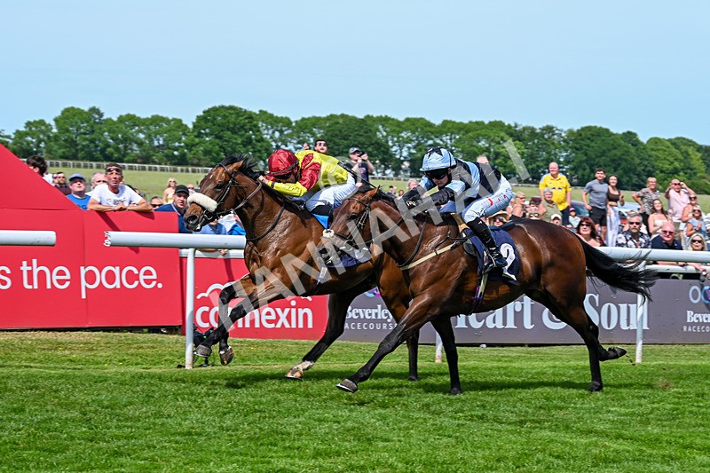 300526-Race 3-Matteo-5480 - Race 3 14.48pm Beverley Two Year Old Trophy EBF Conditions Stakes