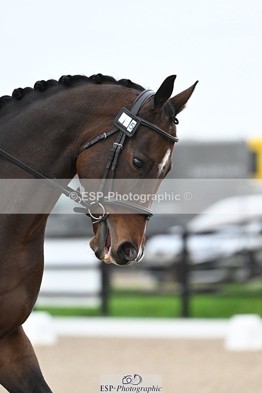 241103-085625-00088 - Intro 3 - 8.30 to 9.30