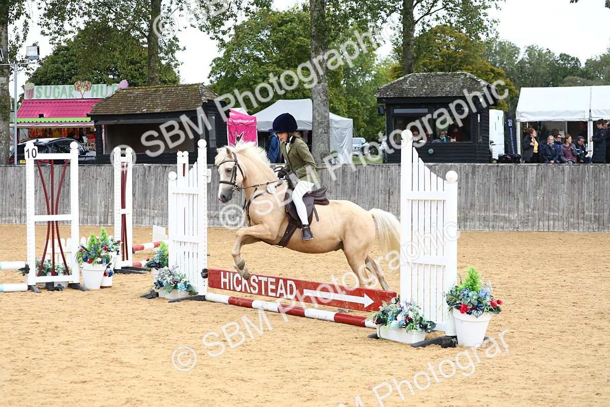 SBM_68099 - J3b - Mini Tour Junior Pony 40cm Championship