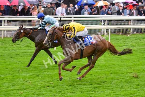 yr21082021r4-77 - Race 4 3.35pm Sky Bet Ebor