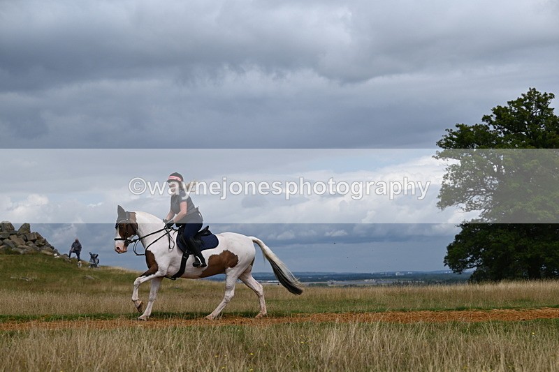 DSC_7928 - Time at Statue 13:16 to 13:52