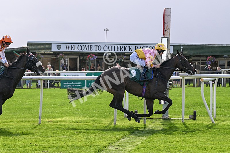 080926-Race 3-Battenburg Belle-2305 - Race 3 3.03pm Fifth Regiment Royal Artillery Handicap (Div I)