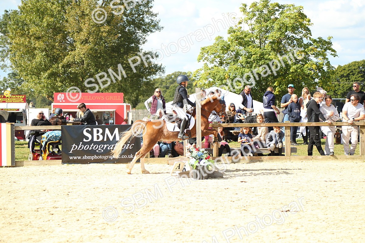 SBM_39453 - J6 - Junior Pony 55cm Championships