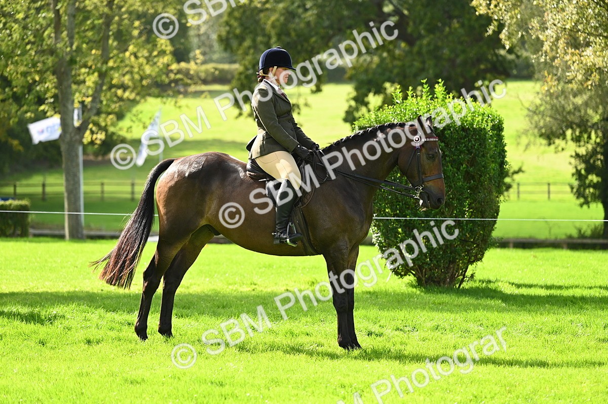 SBM_01737 - S2 - TSR Ridden Horse Showing