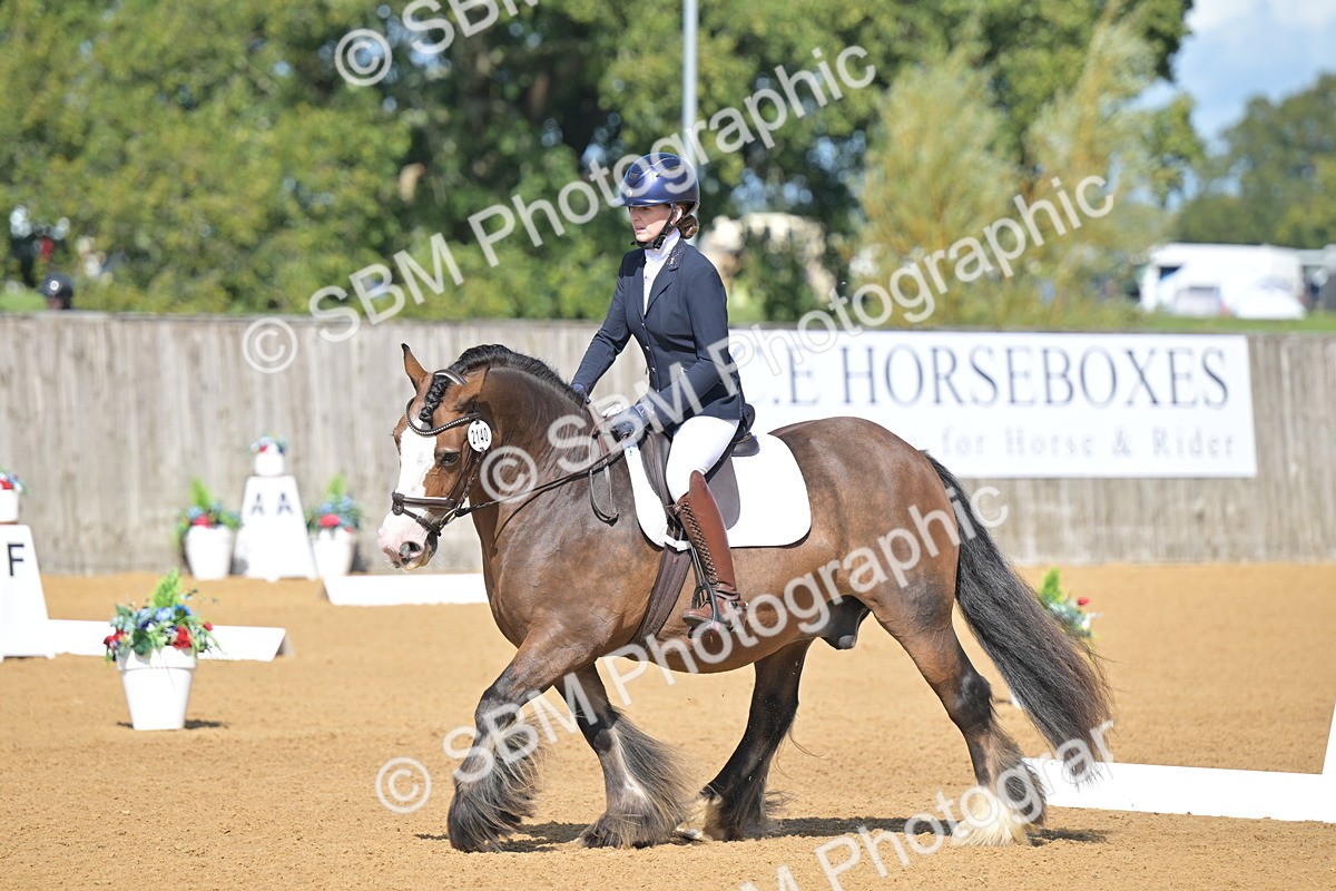 SBM_03931 - D2 - Small Tour Championship Intro 2