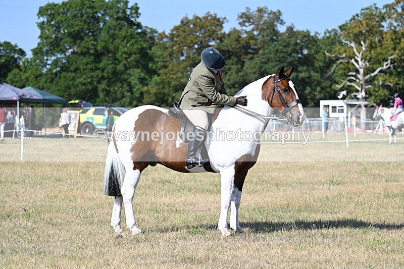 WJ7_2958 - Class 8 Ridden Tack & Turnout
