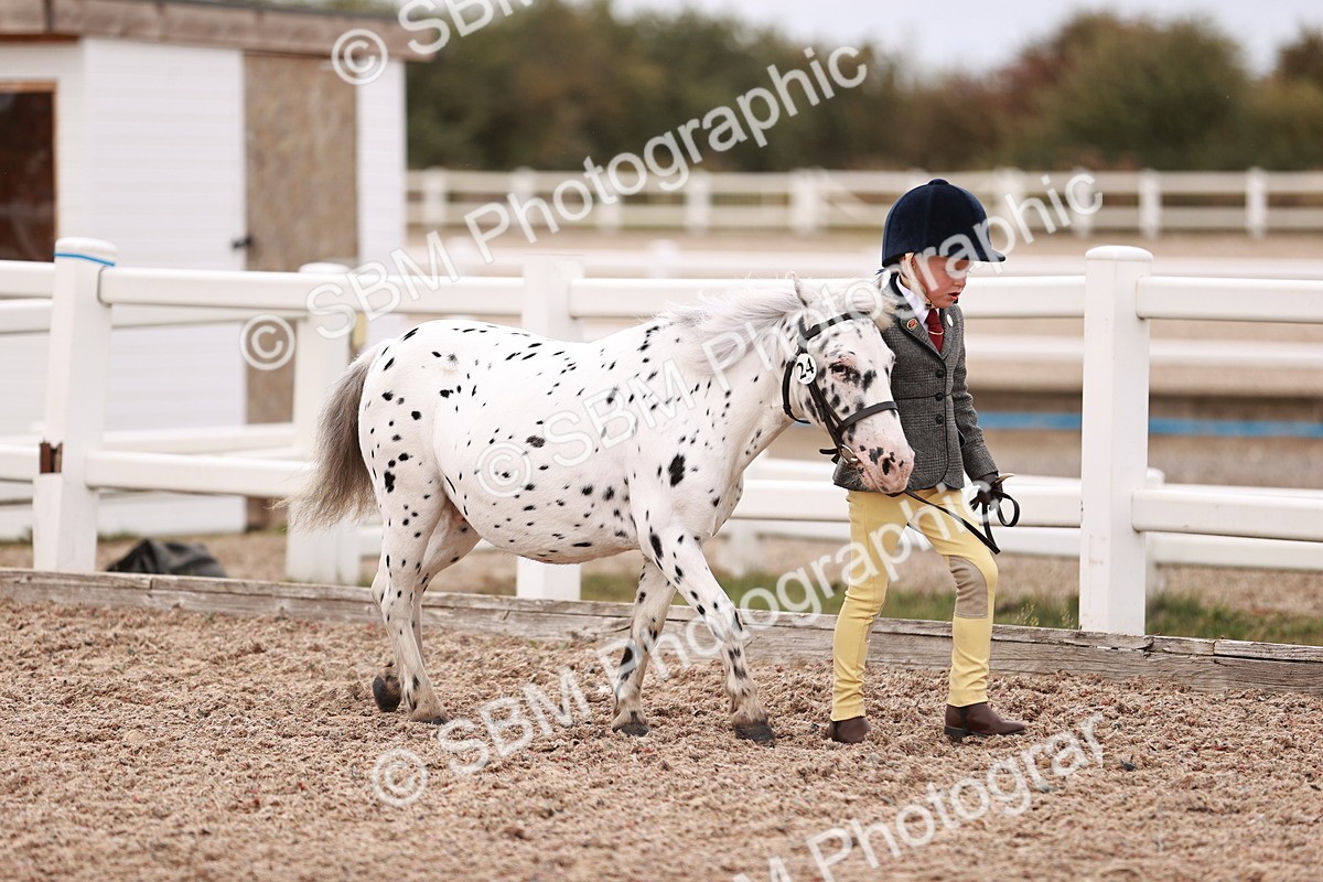 SBM_18544 - Class 421 - Childs Best Friend - Jnr