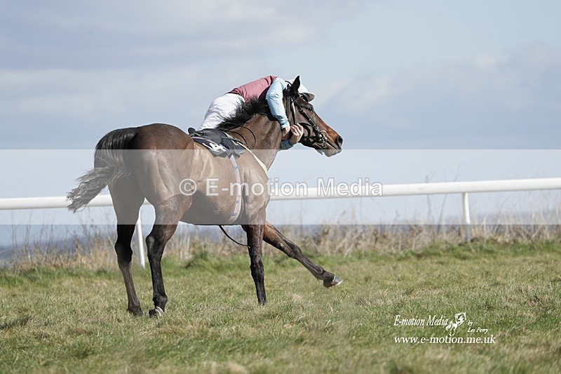 PtP 260223 508 - South & West Wilts Point-to-Point Larkhill 26/02/23