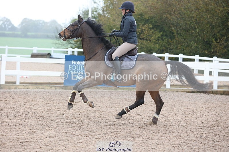 231112A-102311-03320 - Cls 17 Blue Chip Novice Winter Qualifier