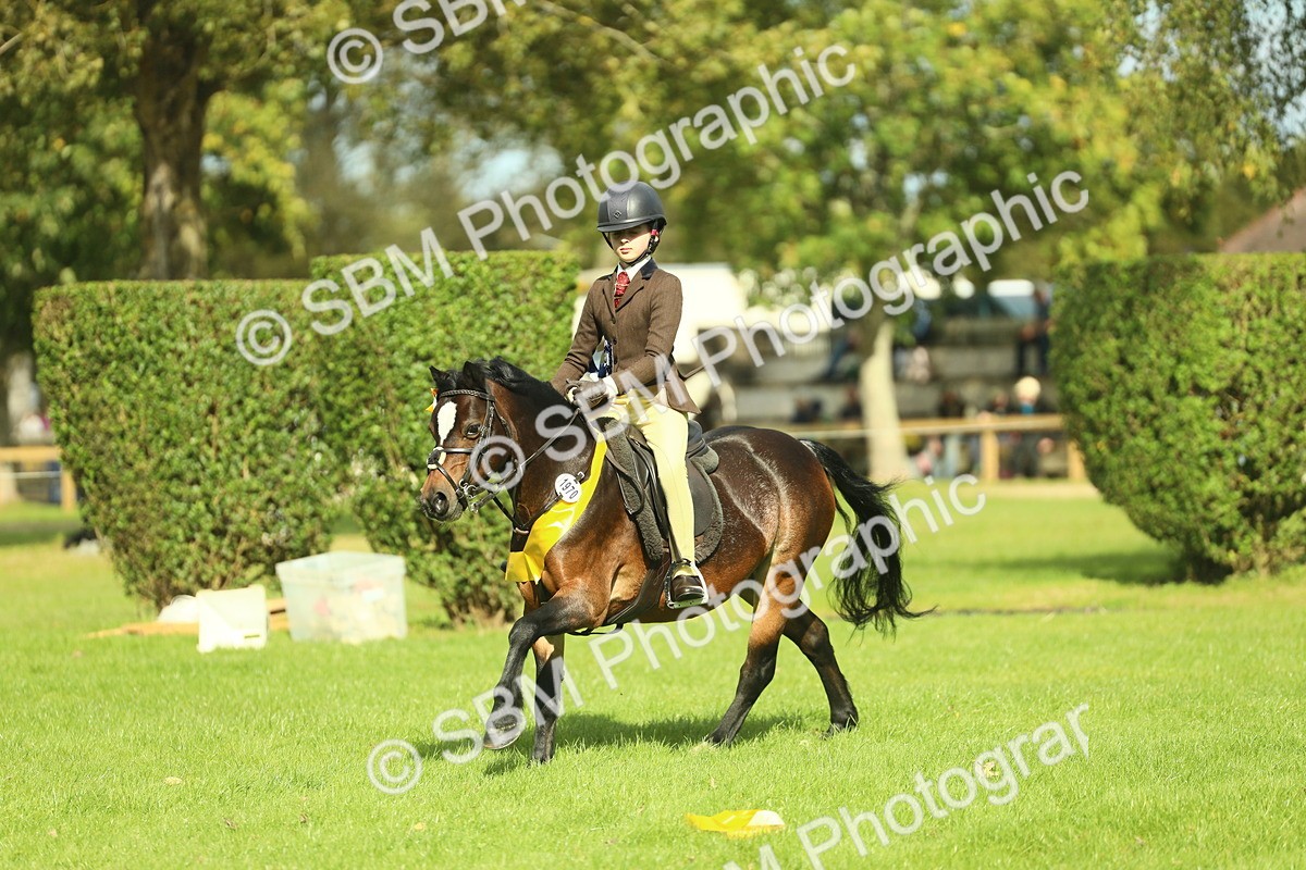 SBM_45039 - Working Hunter Pony Supreme Championship