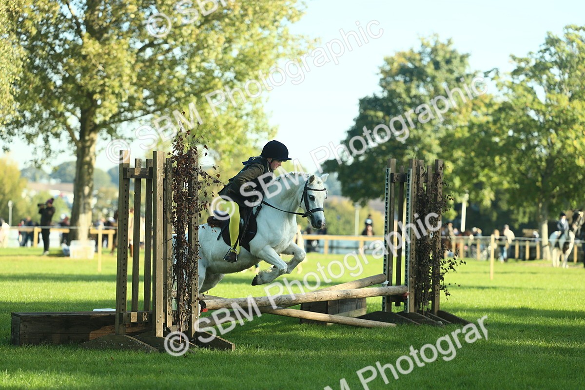 SBM_36291 - S29 - Novice & Newcomers Working Hunter Pony