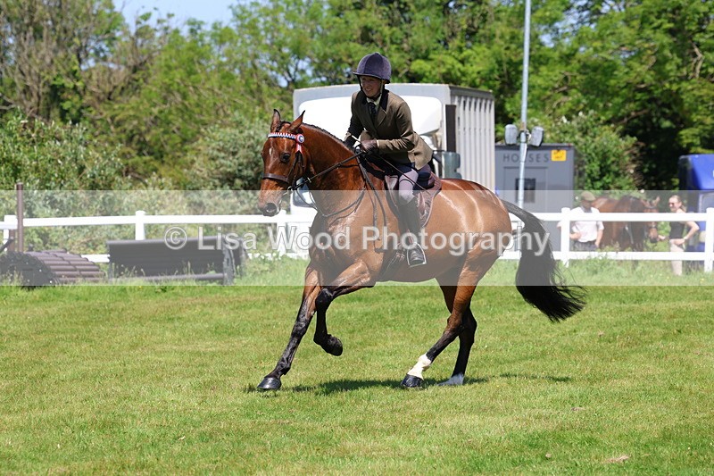 3E7A7524 - Class 31: Working Hunter Cob/Riding Horse